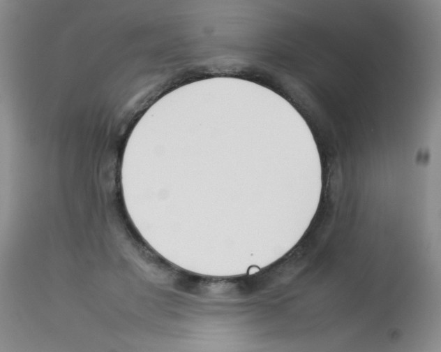 X0000113210501200910221106