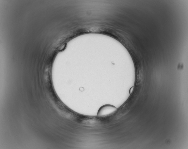 X0000113210503200910221106