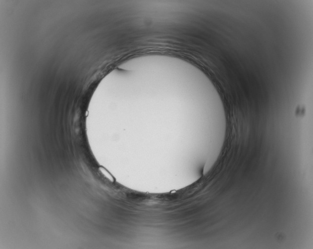 X0000113210504200910221106