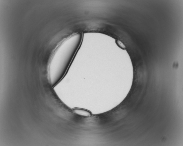 X0000113210505200910221106