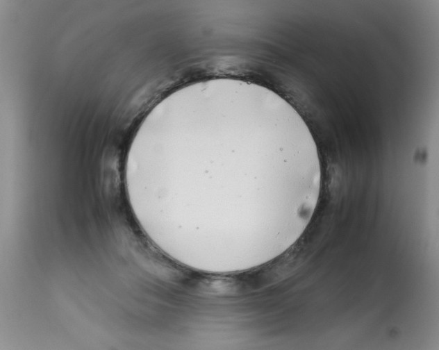 X0000113210506200910221106