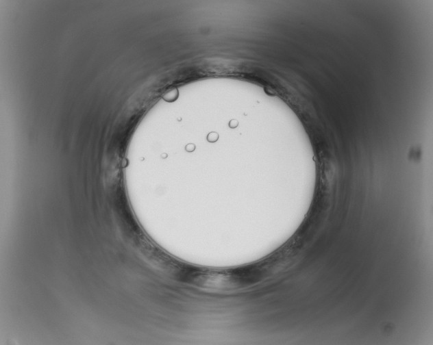 X0000113210507200910221106