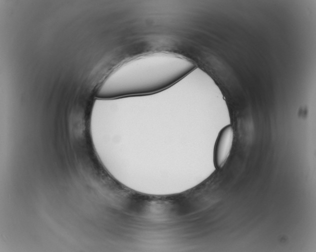 X0000113210508200910221106