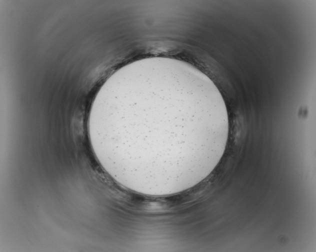 X0000113210510200910221106