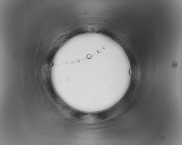 X0000113210511200910221106