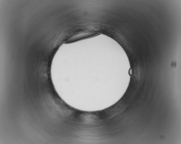 X0000113210512200910221106