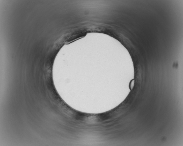 X0000113210513200910221106