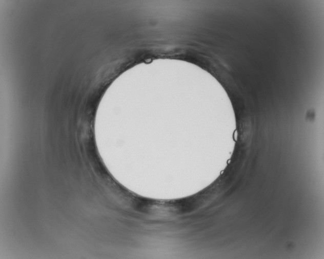 X0000113210515200910221106