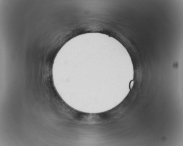 X0000113210517200910221106