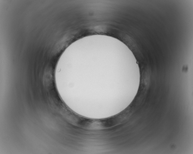 X0000113210518200910221105