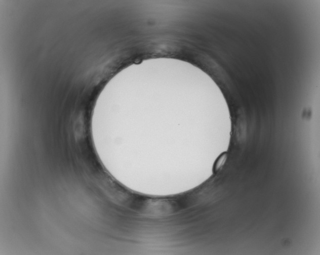 X0000113210520200910221105