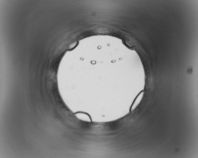 X0000113210521200910221105