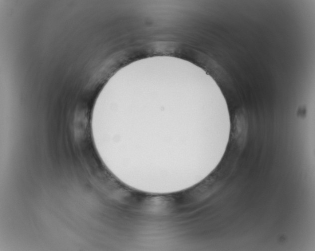 X0000113210522200910221105