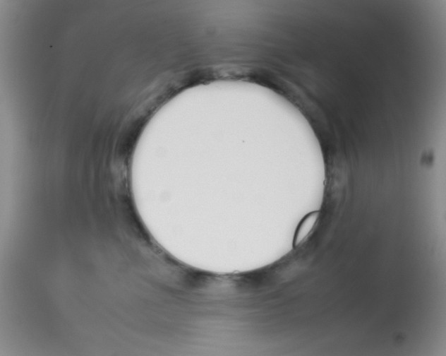 X0000113210523200910221105