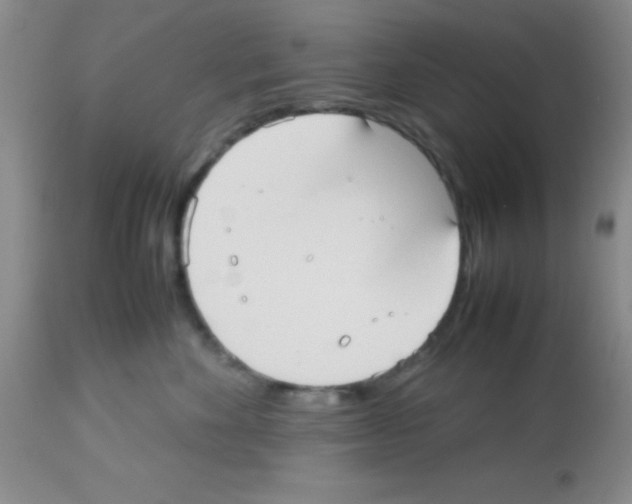 X0000113210524200910221105