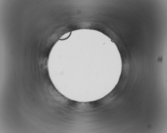 X0000113210525200910221105