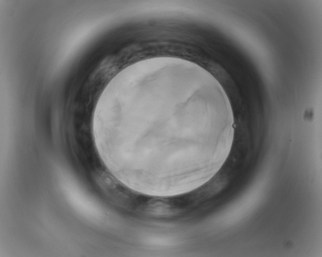 X0000113210526200910221105