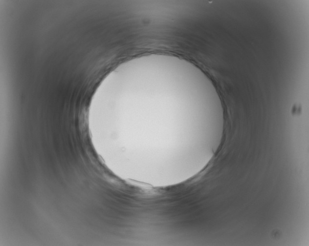 X0000113210528200910221105