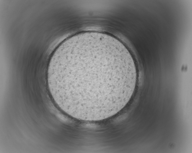 X0000113210529200910221105