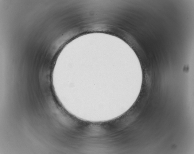 X0000113210534200910221105