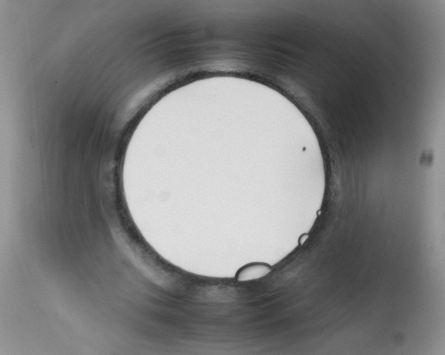 X0000113210535200910221105