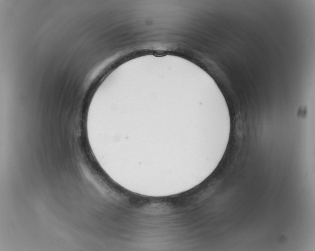 X0000113210536200910221105