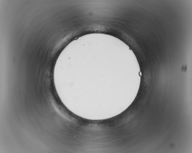 X0000113210538200910221105