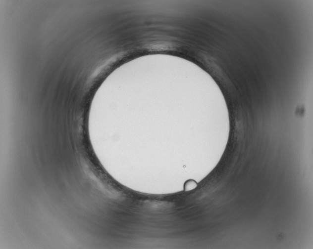 X0000113210539200910221105