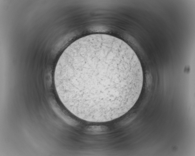 X0000113210541200910221105