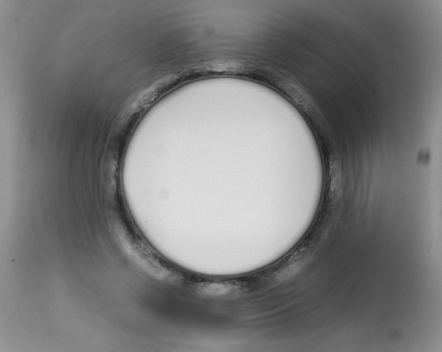 X0000113210542200910221105