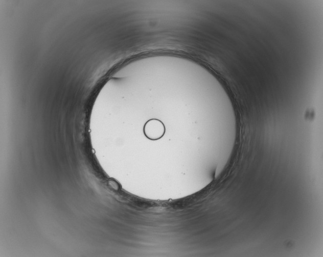 X0000113210544200910221105