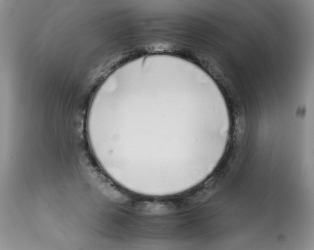 X0000113210545200910221105