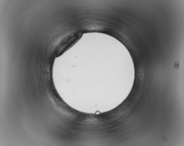 X0000113210547200910221105