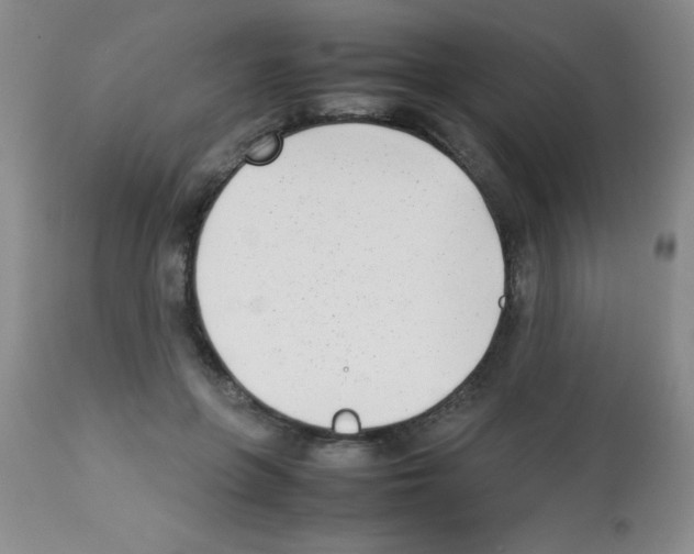 X0000113210551200910221105