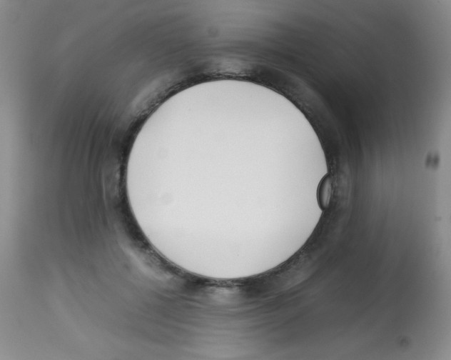 X0000113210552200910221105