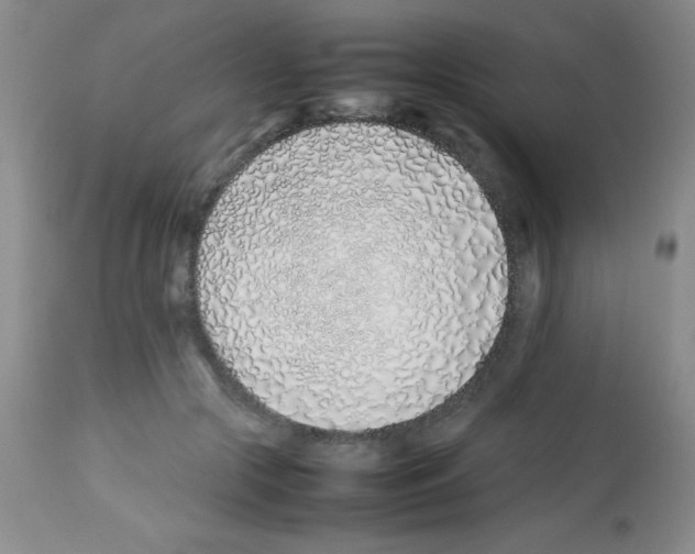 X0000113210553200910221105