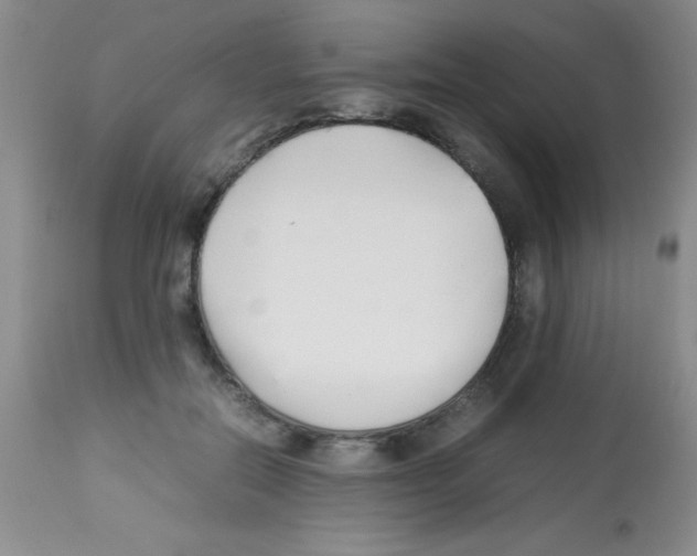 X0000113210554200910221105