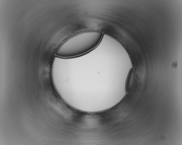 X0000113210556200910221105