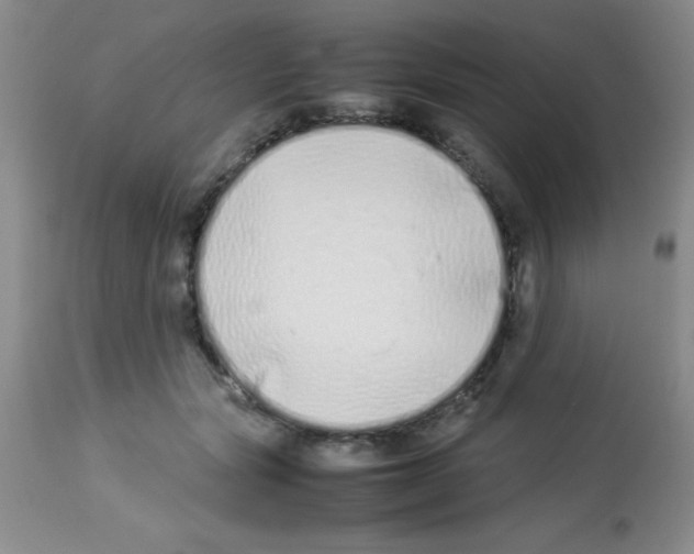 X0000113210557200910221105