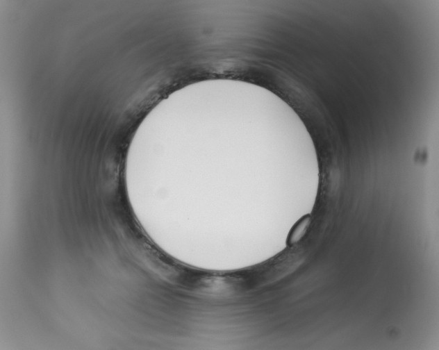 X0000113210558200910221105