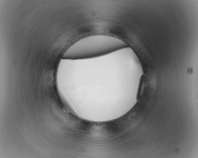 X0000113210560200910221105