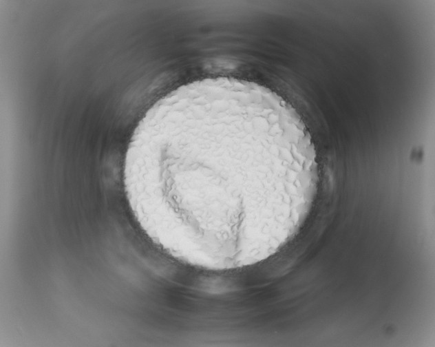 X0000113210561200910221105