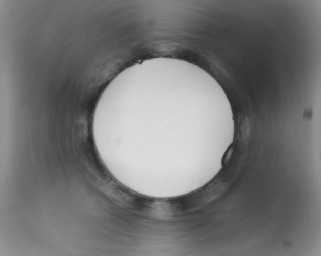 X0000113210562200910221105