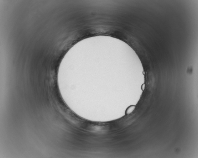 X0000113210563200910221105