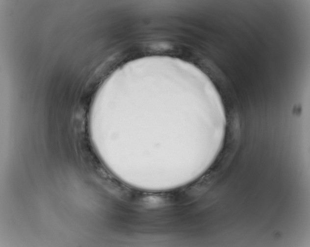 X0000113210565200910221105