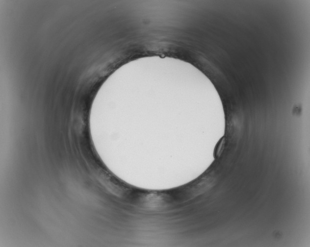 X0000113210566200910221105