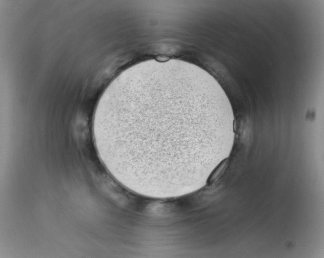 X0000113210568200910221105