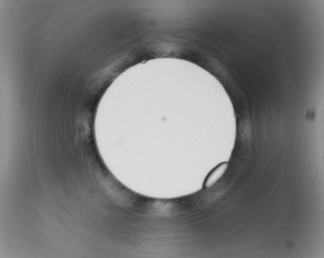 X0000113210570200910221105