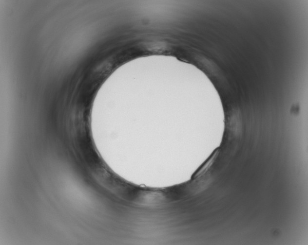 X0000113210572200910221105