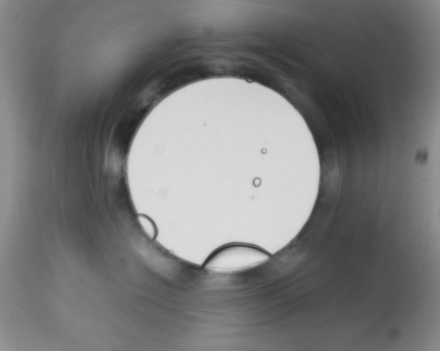 X0000113210574200910221105